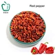 AD Red Bell Pepper 9*9 Cooking Food